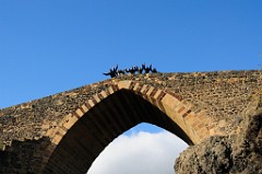 21) 08 Dicembre 2011 - Gagliano Castelferrato - Ponte dei Saraceni (Adrano) - Centuripe